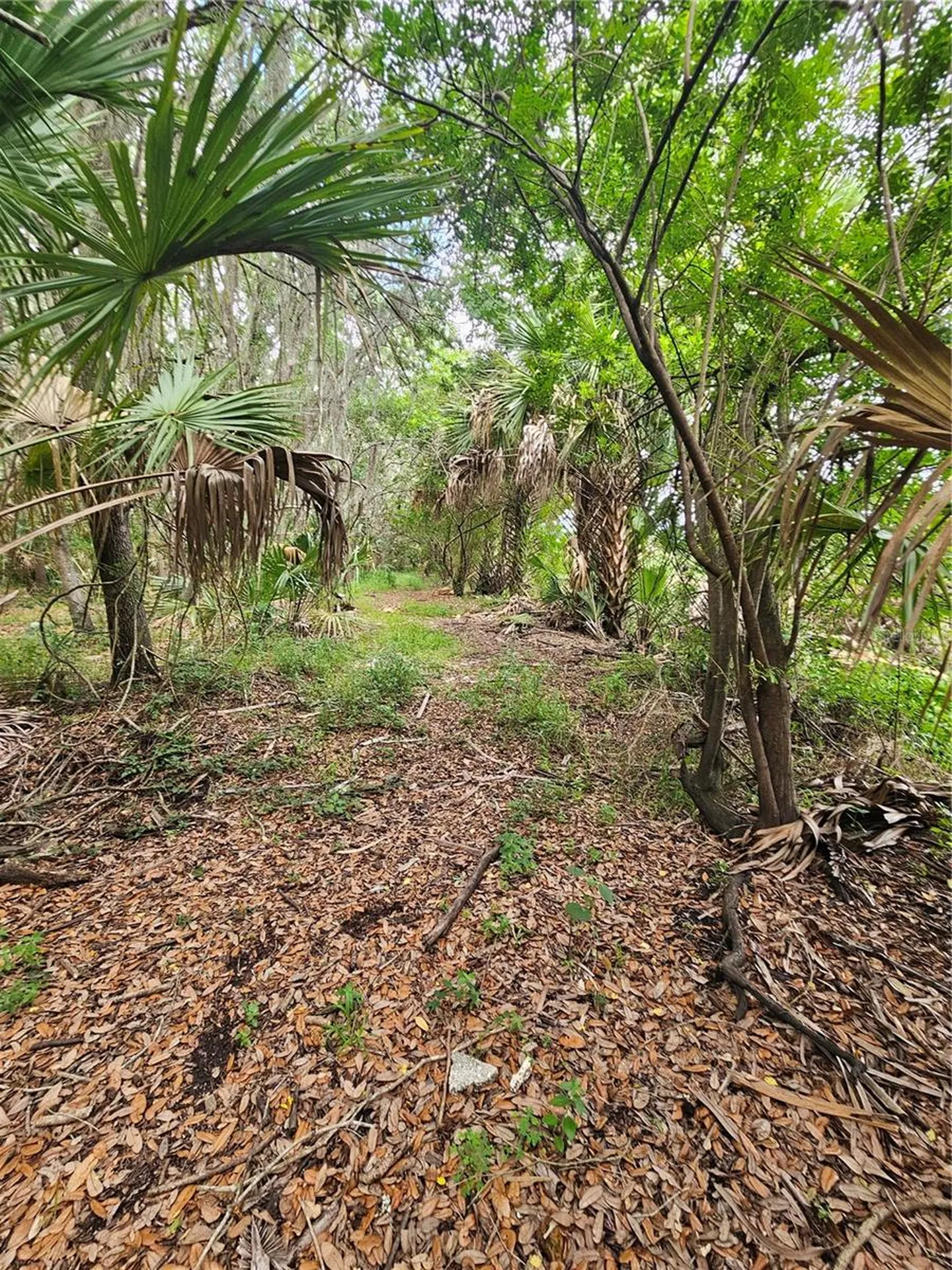 601 Howard Avenue Oviedo FL 32765