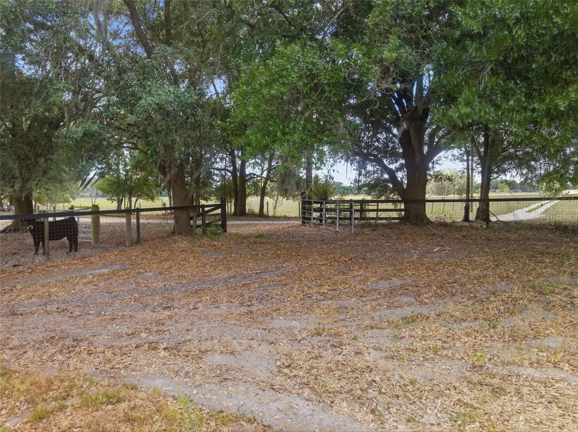 35600 Blanton Road Dade City FL 33523