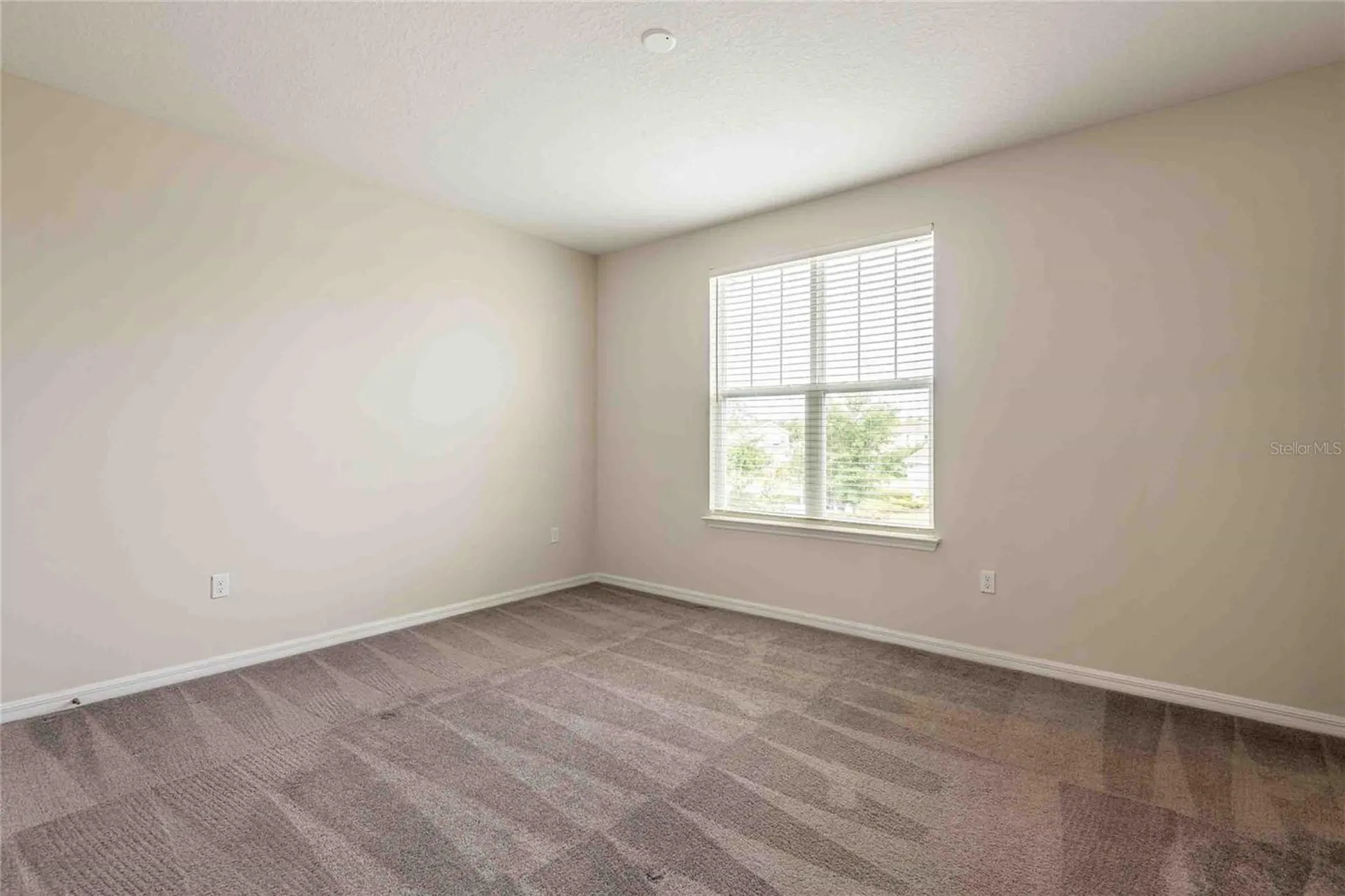 5072 Avalon Park Boulevard Wesley Chapel FL 33545