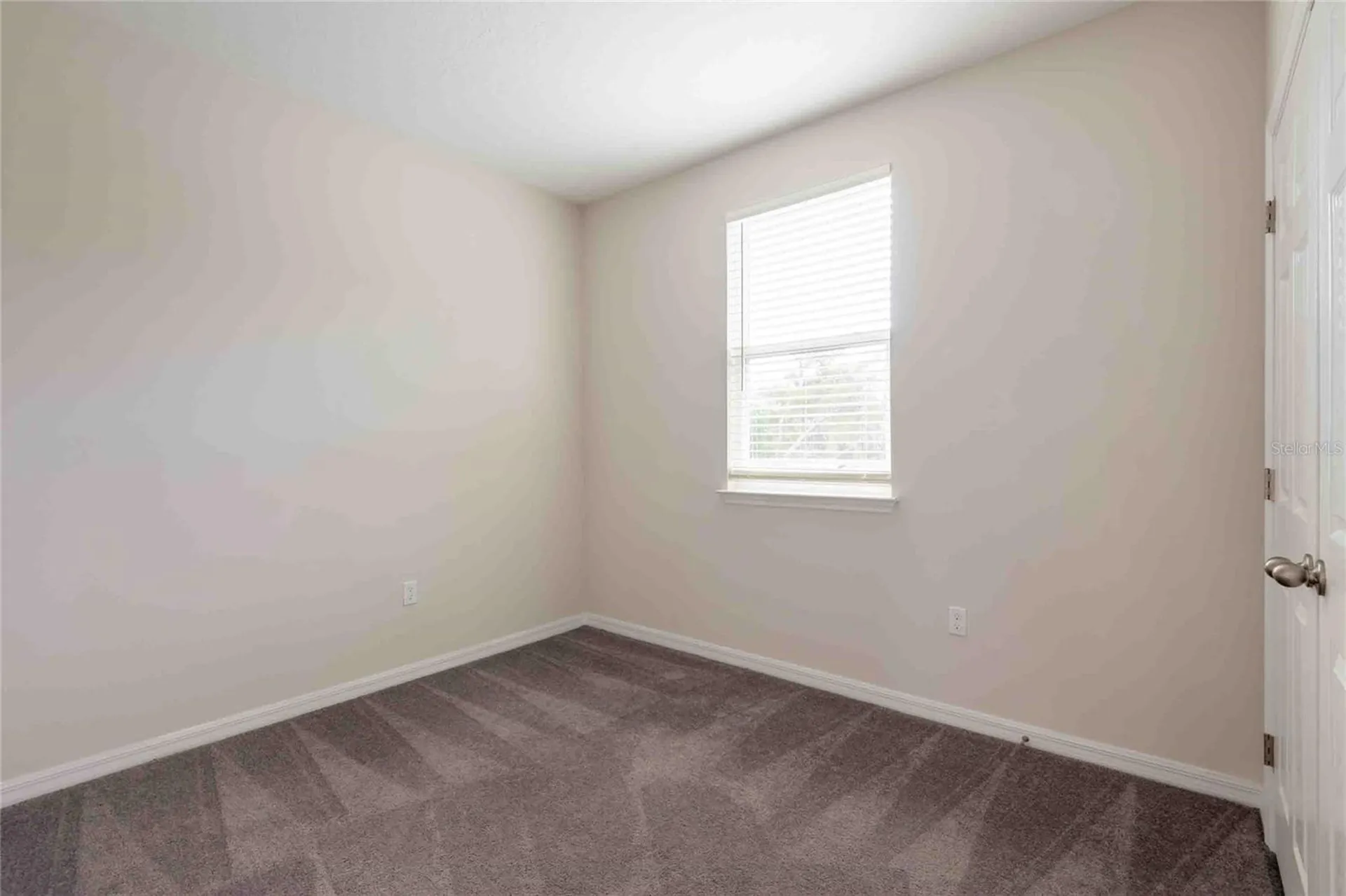 5072 Avalon Park Boulevard Wesley Chapel FL 33545