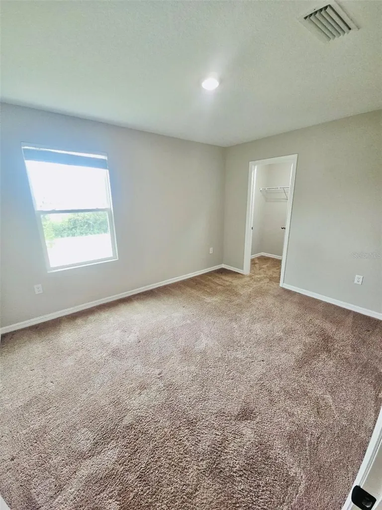 34436 Moonflower Avenue Wesley Chapel FL 33545