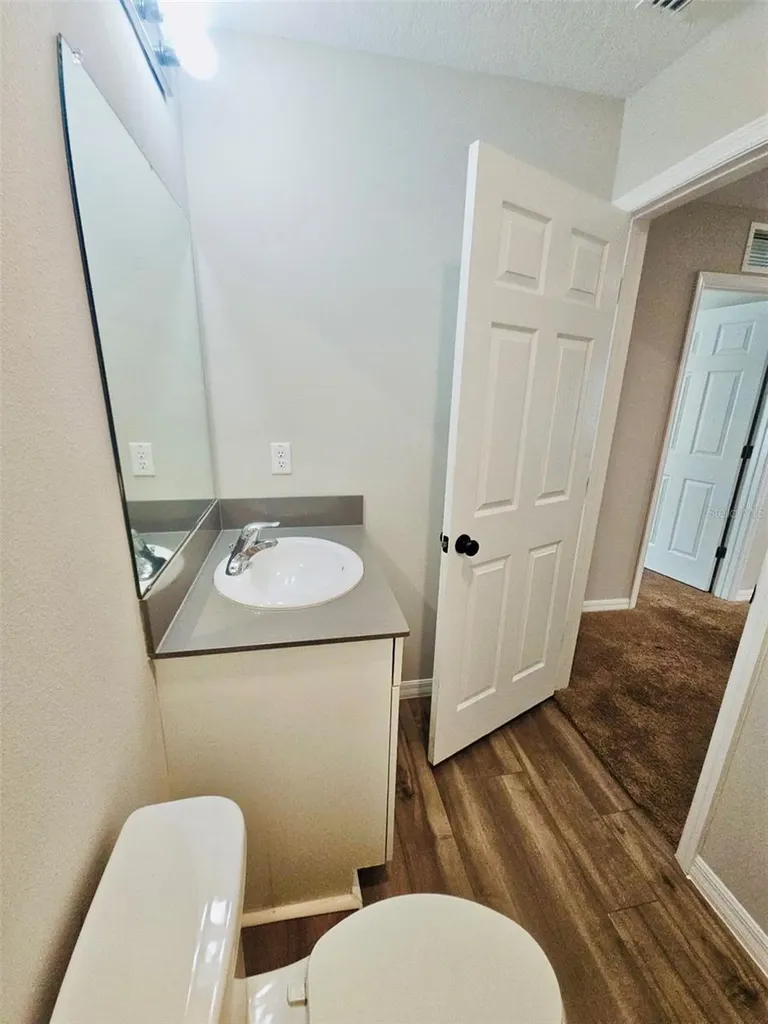 34436 Moonflower Avenue Wesley Chapel FL 33545