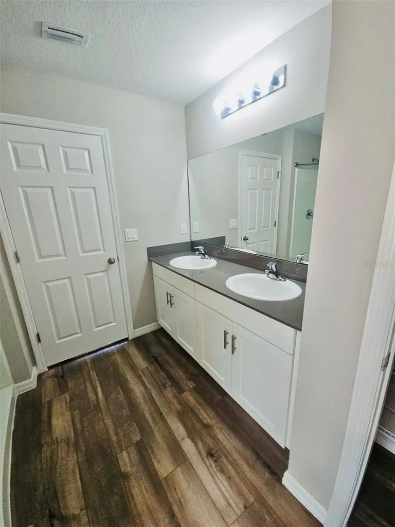 34436 Moonflower Avenue Wesley Chapel FL 33545