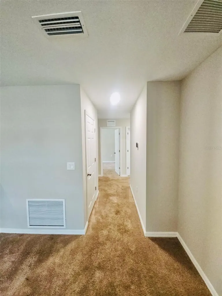 34436 Moonflower Avenue Wesley Chapel FL 33545