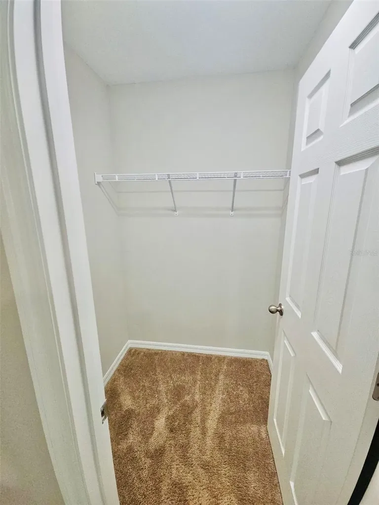 34436 Moonflower Avenue Wesley Chapel FL 33545