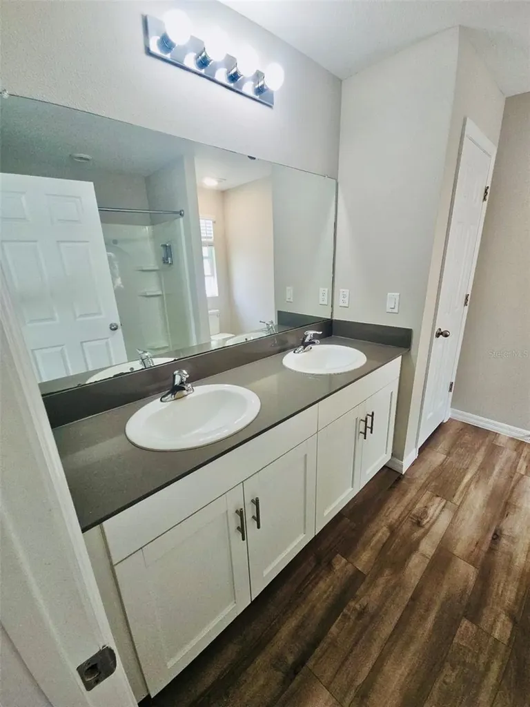 34436 Moonflower Avenue Wesley Chapel FL 33545