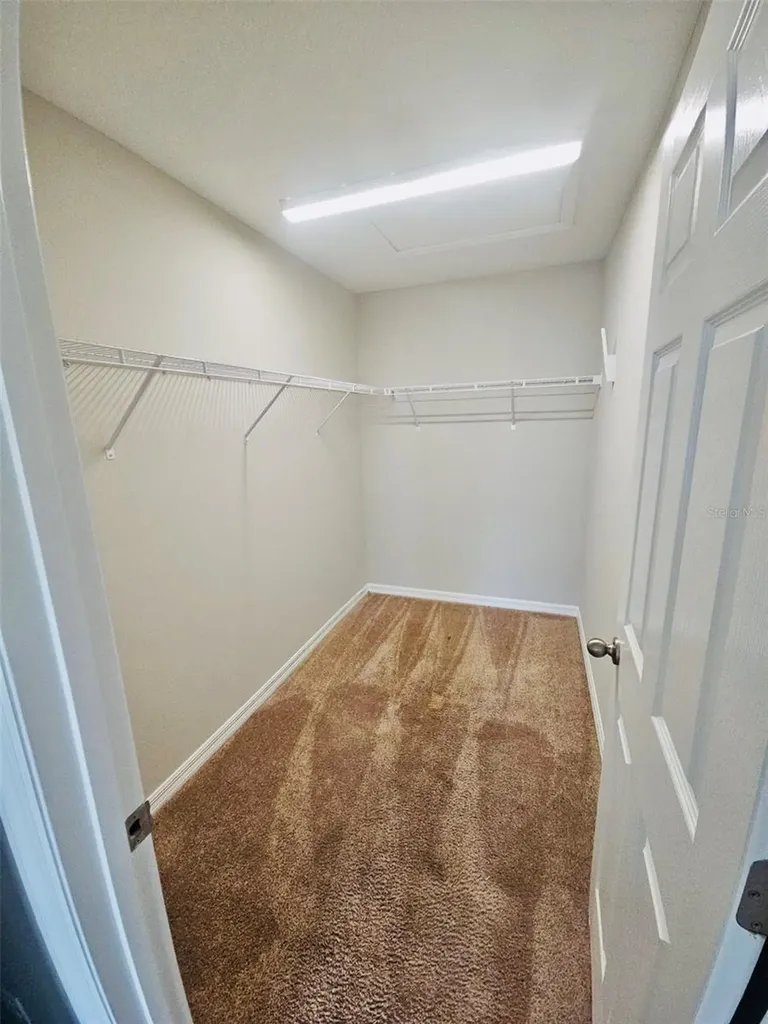 34436 Moonflower Avenue Wesley Chapel FL 33545