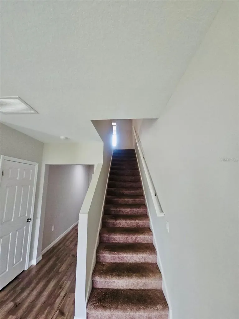 34436 Moonflower Avenue Wesley Chapel FL 33545