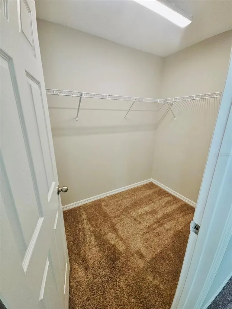 34436 Moonflower Avenue Wesley Chapel FL 33545