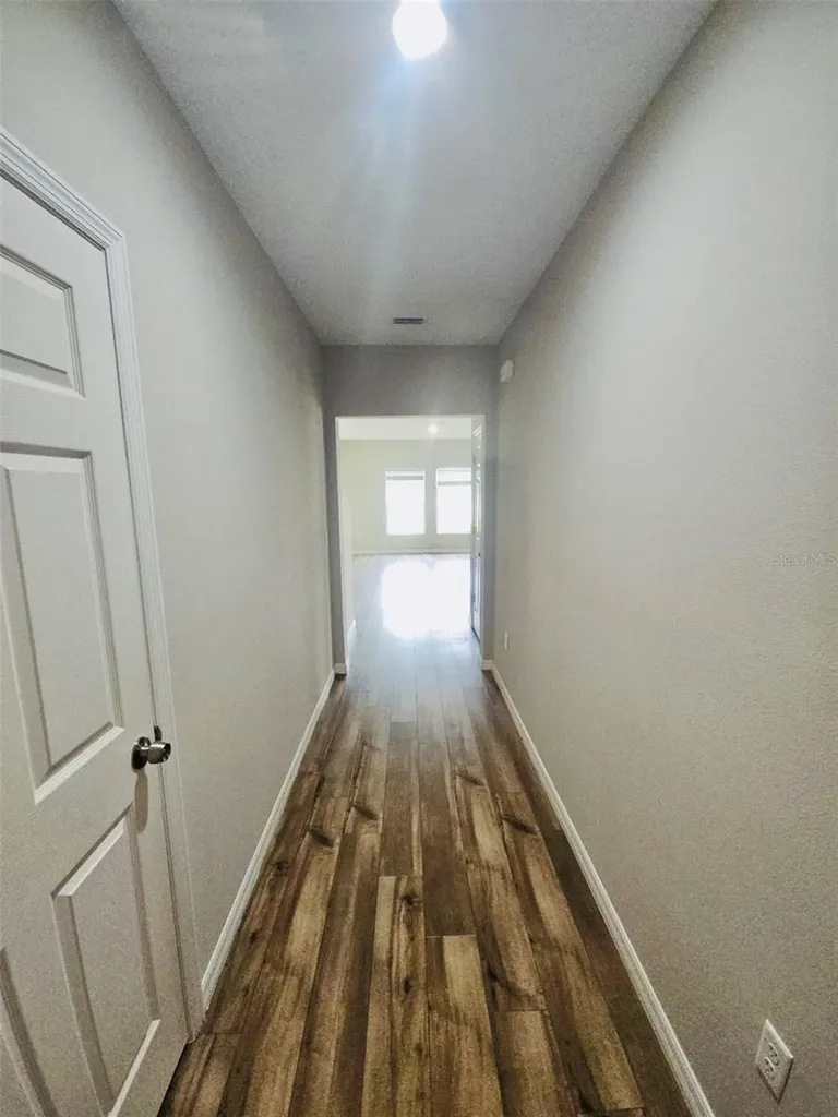 34436 Moonflower Avenue Wesley Chapel FL 33545