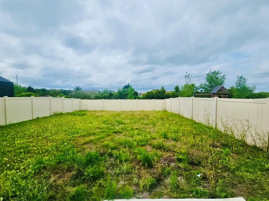 34436 Moonflower Avenue Wesley Chapel FL 33545