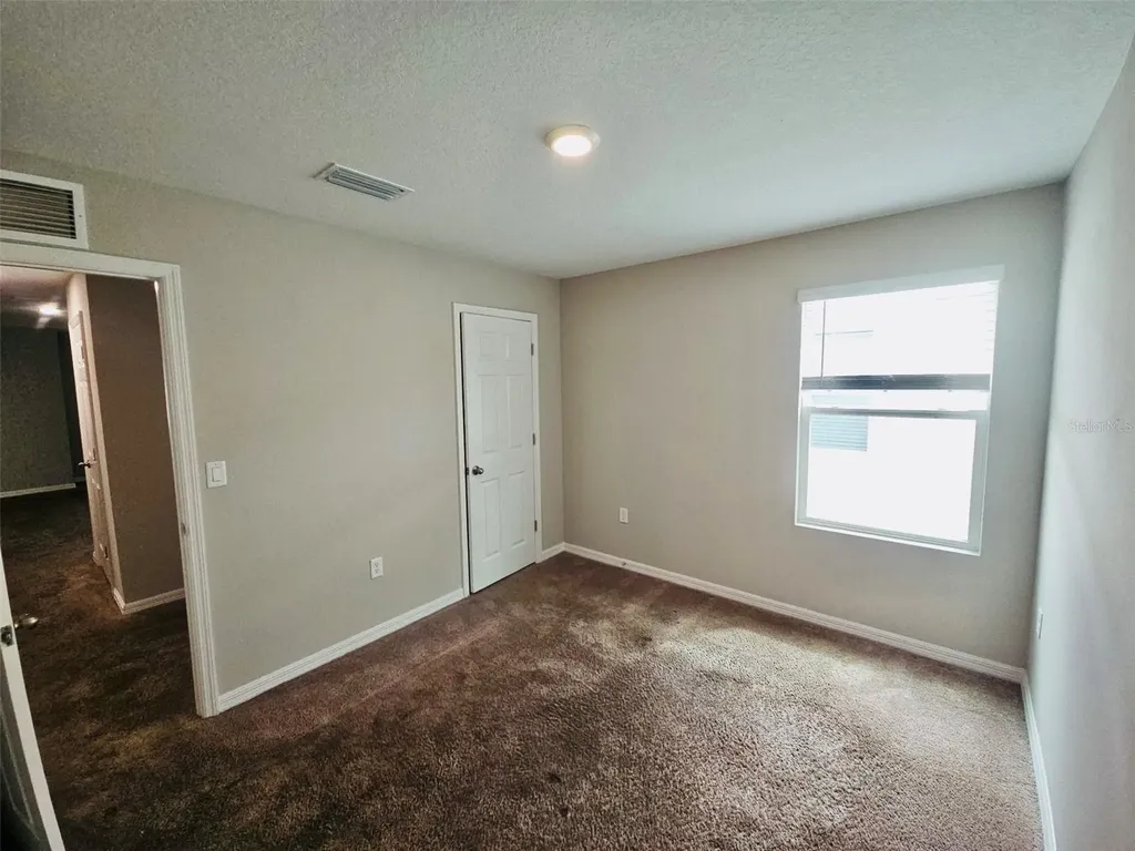 34436 Moonflower Avenue Wesley Chapel FL 33545