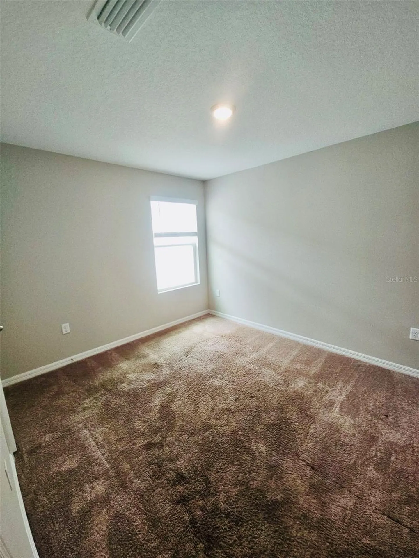 34436 Moonflower Avenue Wesley Chapel FL 33545