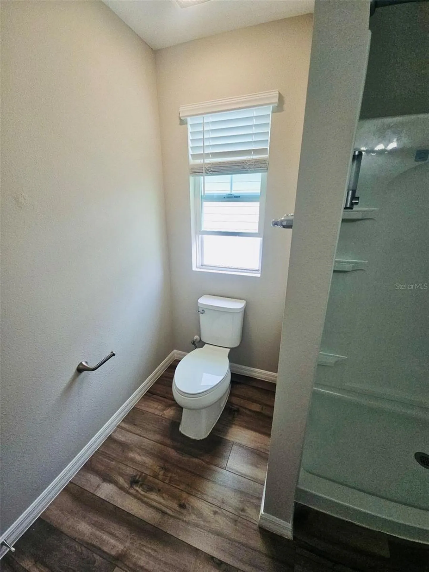 34436 Moonflower Avenue Wesley Chapel FL 33545