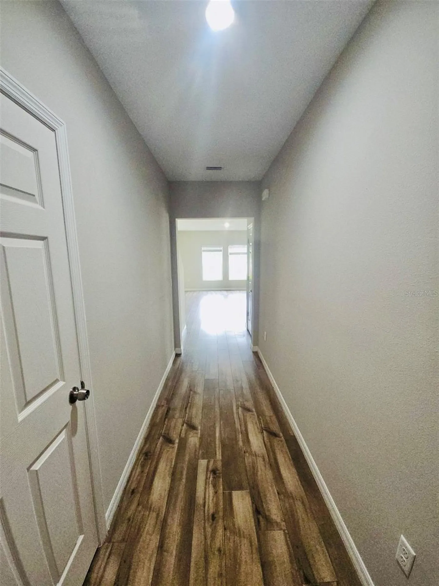 34436 Moonflower Avenue Wesley Chapel FL 33545