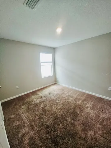 34436 Moonflower Avenue Wesley Chapel FL 33545