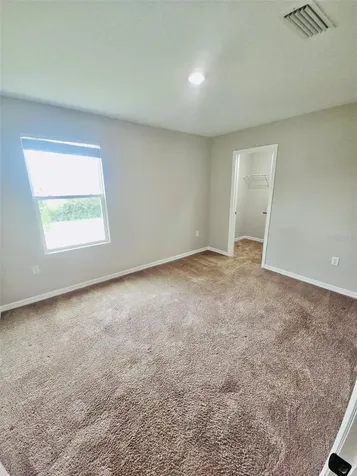 34436 Moonflower Avenue Wesley Chapel FL 33545