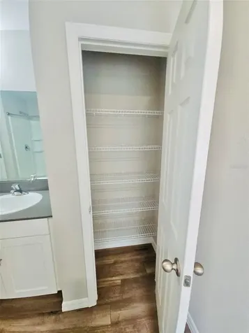34436 Moonflower Avenue Wesley Chapel FL 33545