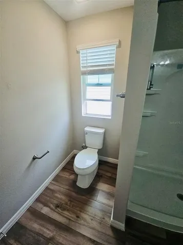 34436 Moonflower Avenue Wesley Chapel FL 33545