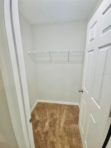 34436 Moonflower Avenue Wesley Chapel FL 33545
