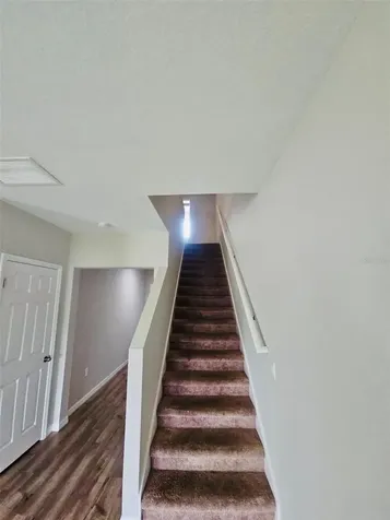 34436 Moonflower Avenue Wesley Chapel FL 33545