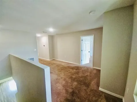 34436 Moonflower Avenue Wesley Chapel FL 33545