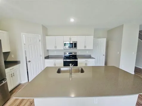 34436 Moonflower Avenue Wesley Chapel FL 33545