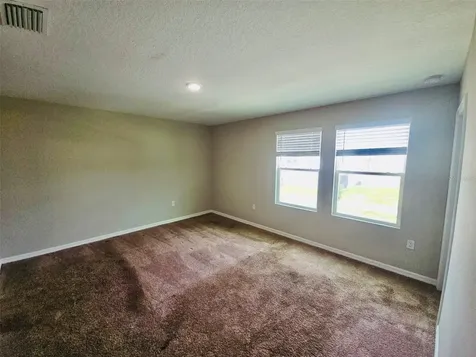 34436 Moonflower Avenue Wesley Chapel FL 33545