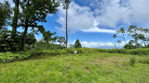 Carr 917, Km 5.9, B0 Montones Las Piedras PR 00771