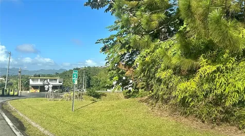 Carr 917, Km 5.9, B0 Montones Las Piedras PR 00771