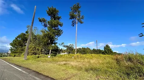 Carr 917, Km 5.9, B0 Montones Las Piedras PR 00771