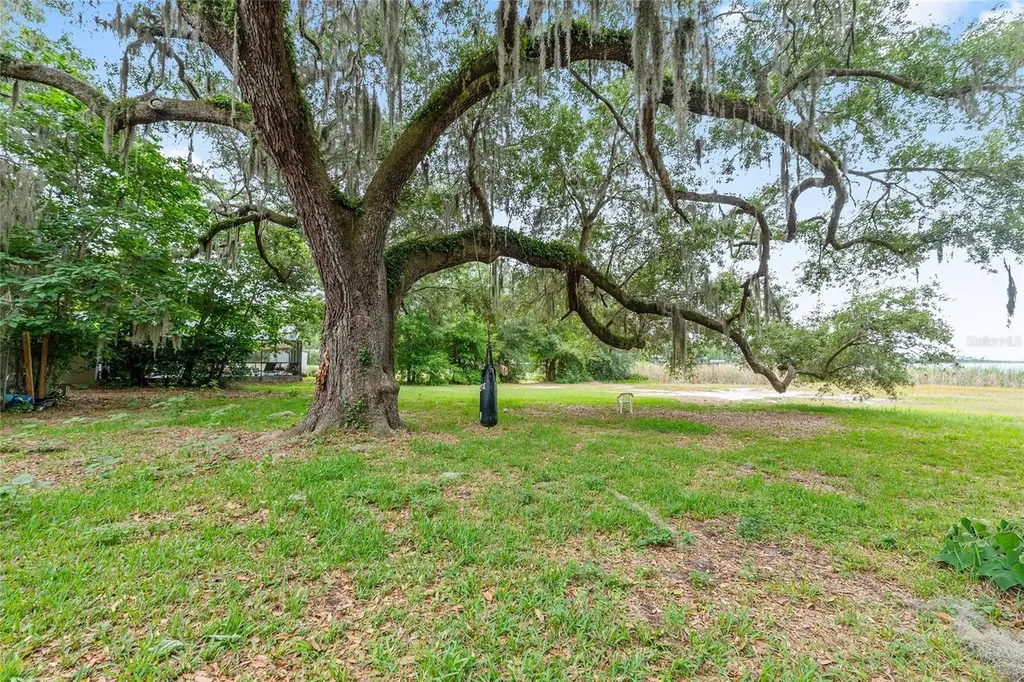 13395 SE 106th Avenue Ocklawaha FL 32179