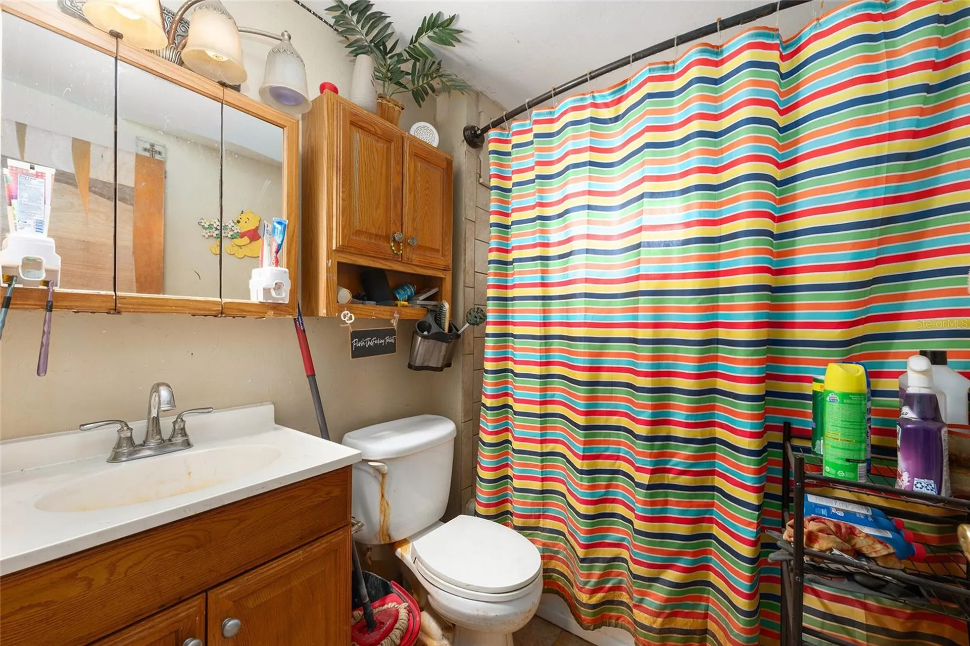 13395 SE 106th Avenue Ocklawaha FL 32179
