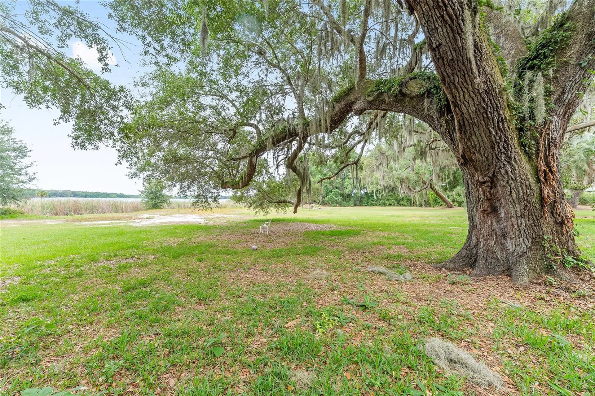 13395 SE 106th Avenue Ocklawaha FL 32179