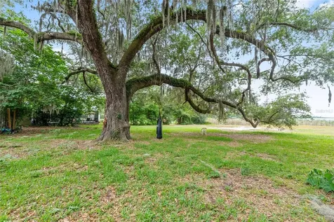 13395 SE 106th Avenue Ocklawaha FL 32179