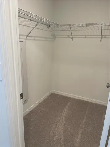 36217 Risa Michele Street Zephyrhills FL 33541