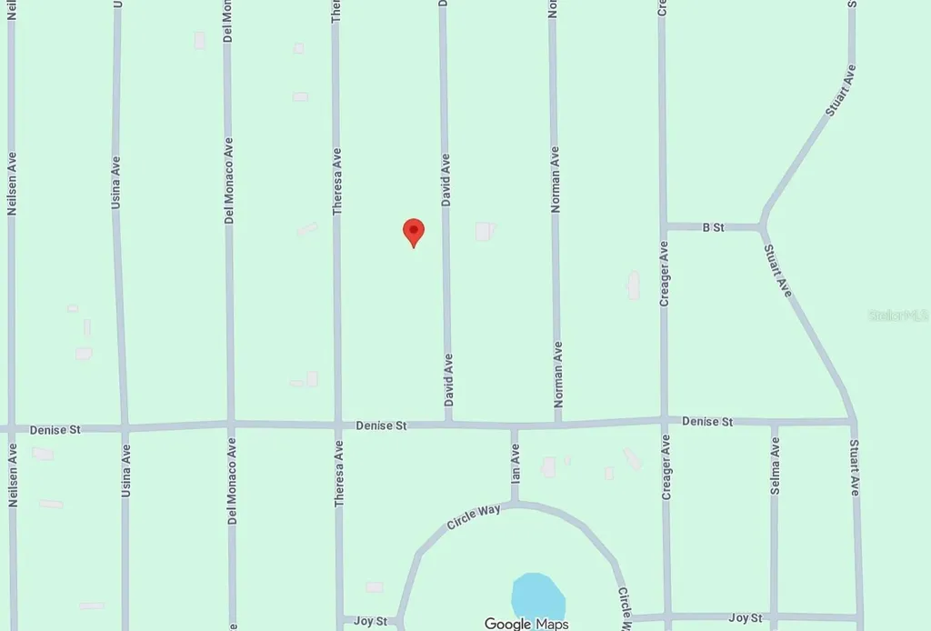 David Avenue Interlachen FL 32148