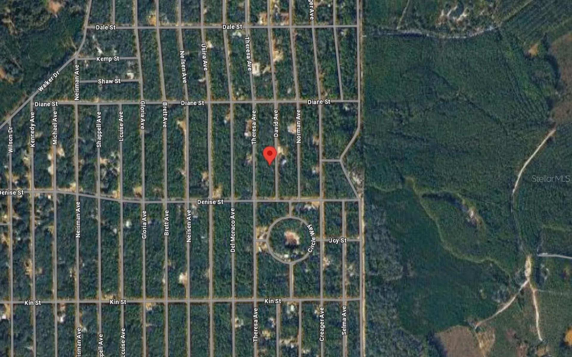 David Avenue Interlachen FL 32148