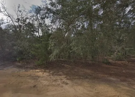 David Avenue Interlachen FL 32148