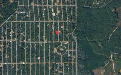 David Avenue Interlachen FL 32148