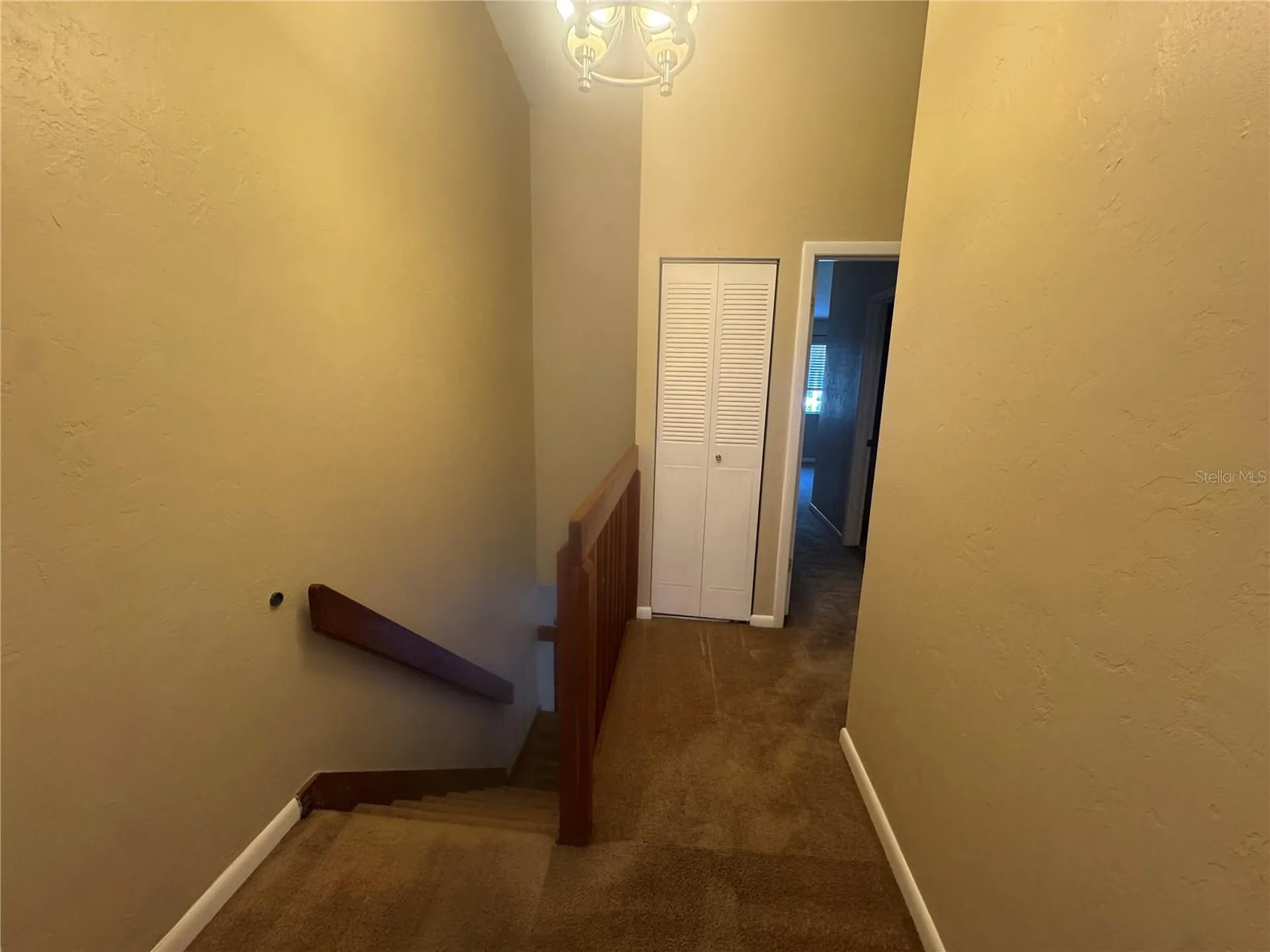 2202 SW 39th Drive Gainesville FL 32607