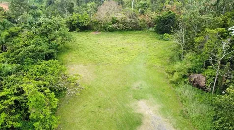 PR-172 Km 7.5 Hacienda El Remanso, Cañaboncito Ward Caguas PR 00725