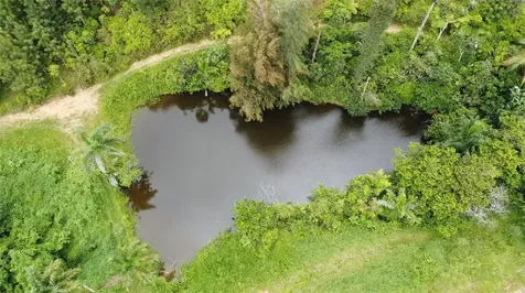 PR-172 Km 7.5 Hacienda El Remanso, Cañaboncito Ward Caguas PR 00725