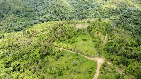 PR-172 Km 7.5 Hacienda El Remanso, Cañaboncito Ward Caguas PR 00725