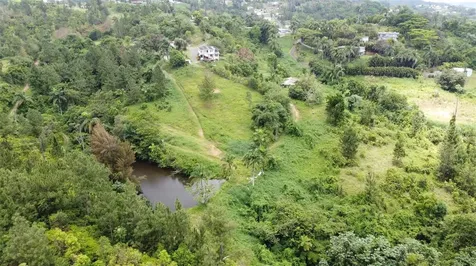 PR-172 Km 7.5 Hacienda El Remanso, Cañaboncito Ward Caguas PR 00725