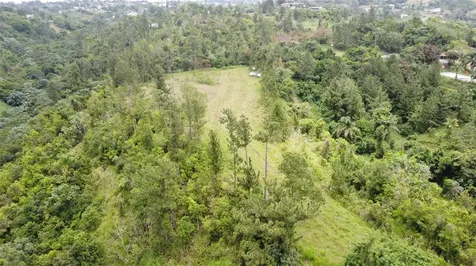 PR-172 Km 7.5 Hacienda El Remanso, Cañaboncito Ward Caguas PR 00725