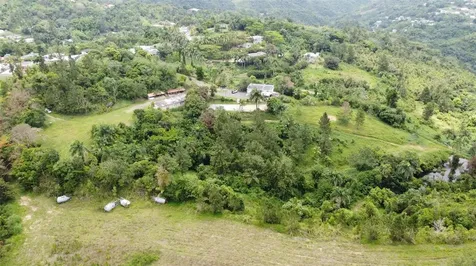 PR-172 Km 7.5 Hacienda El Remanso, Cañaboncito Ward Caguas PR 00725