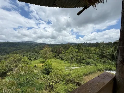 PR-172 Km 7.5 Hacienda El Remanso, Cañaboncito Ward Caguas PR 00725