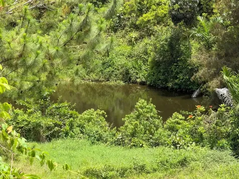 PR-172 Km 7.5 Hacienda El Remanso, Cañaboncito Ward Caguas PR 00725