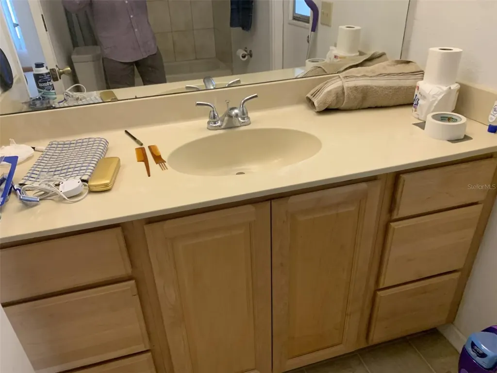 12448 Braxted Drive Orlando FL 32837